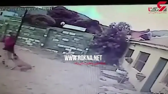 غافلگیر شدن دزد توسط سگ‌های نگهبان + فیلم 