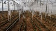 افتتاح گلخانه  صنعتی تمام هوشمند اسپانیایی در الیگودرز