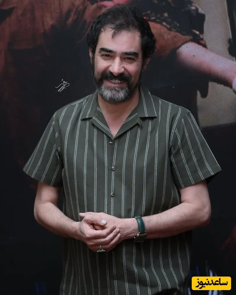 شهاب حسینی