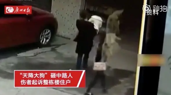 سقوط سگ روی یک زن موجب فلج شدن وی شد +عکس
