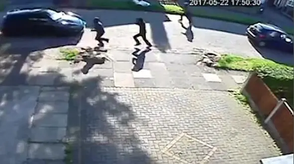 فرار مادر شجاع از دست دزدان نقابدار مسلح + فیلم و تصاویر