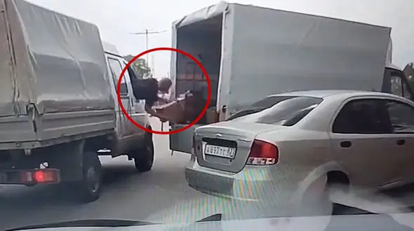 فیلم عجیب از سرقت حیرت آور از یک کامیون در حال حرکت / ببینید