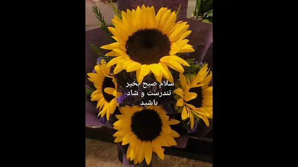 فال ابجد امروز 14 خرداد 1405