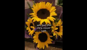 فال ابجد امروز 14 خرداد 1405