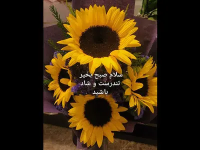 فال ابجد امروز 14 خرداد 1405