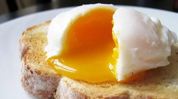 ارتباط مصرف تخم مرغ با بالا رفتن کلسترول خون