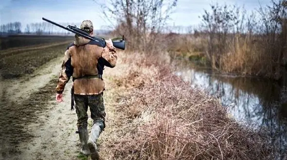 

سازمان محیط‌زیست: تصمیمی برای صدور مجوز شکار در سال ۹۹ نگرفته‌ایم
