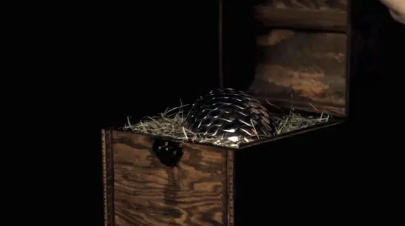 مراحل جالب ساخت مخروط مسی+فیلم