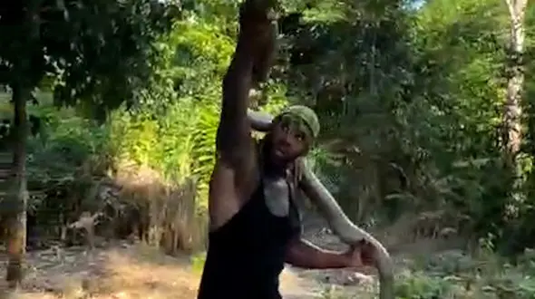 از بازی با مار کبرا تا مسیر لغزنده