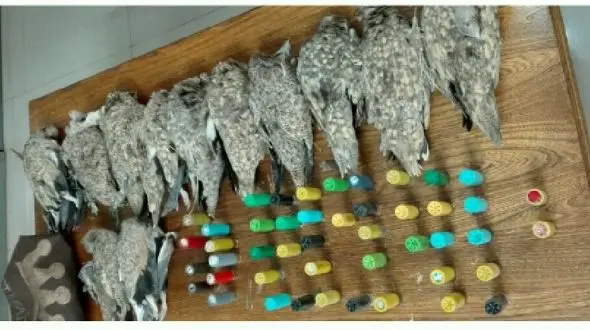 علت صدای تیراندازی در فریمان مشخص شد