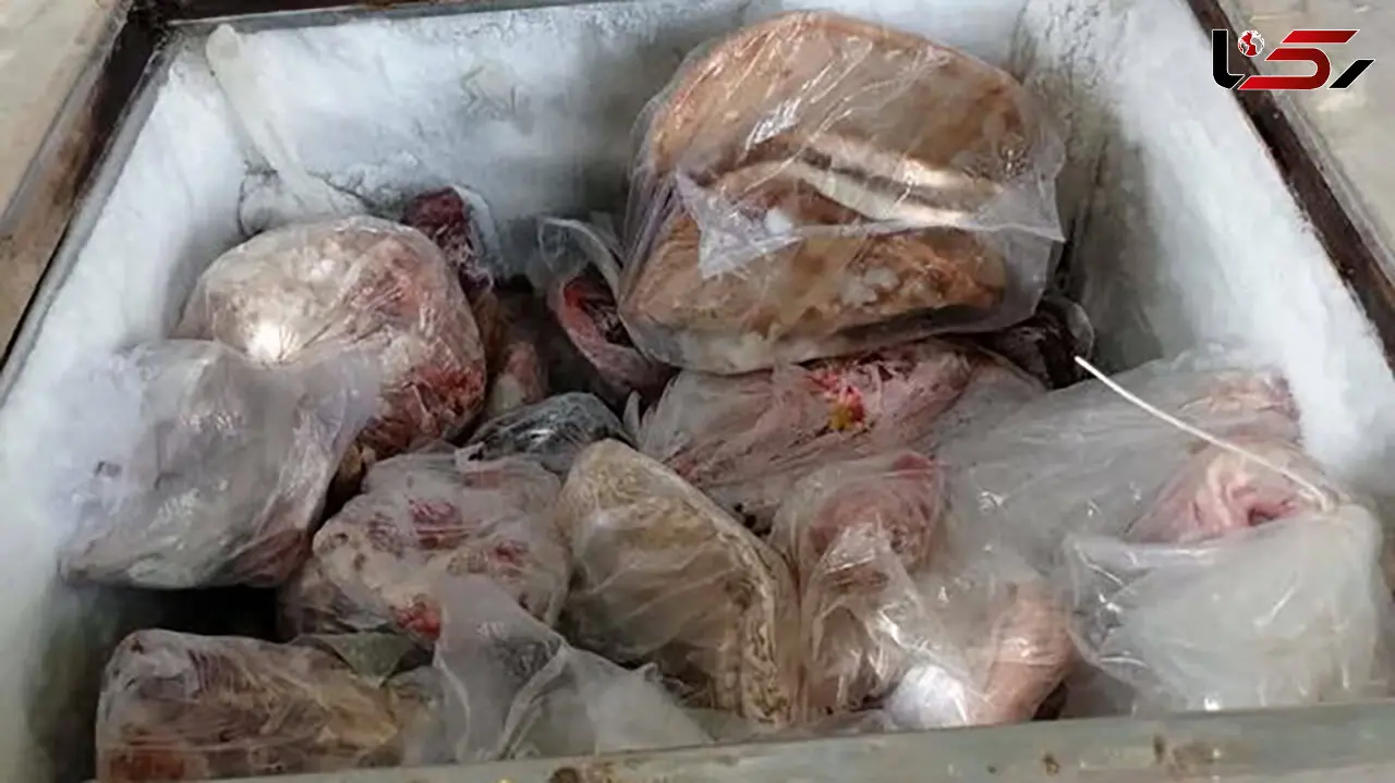 کشف لاشه چندین گراز و الاغ وحشی در یک خانه در کرمان!