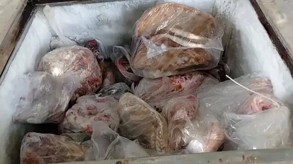کشف لاشه چندین گراز و الاغ وحشی در یک خانه در کرمان!