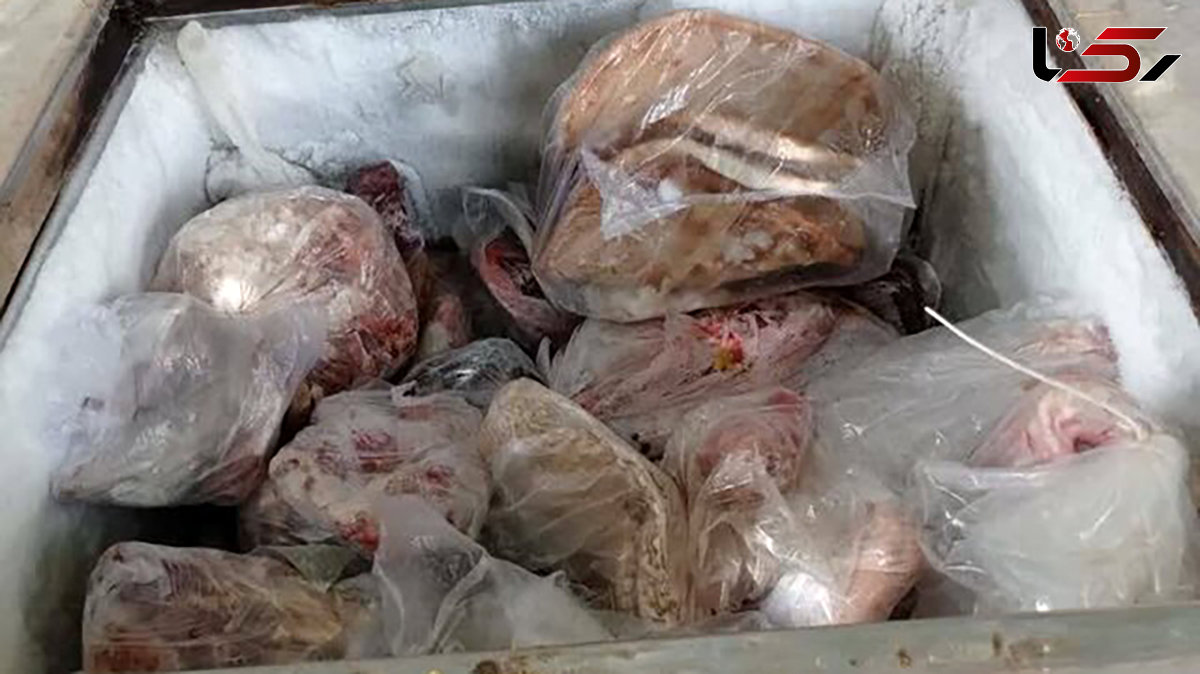 کشف لاشه چندین گراز و الاغ وحشی در یک خانه در کرمان!