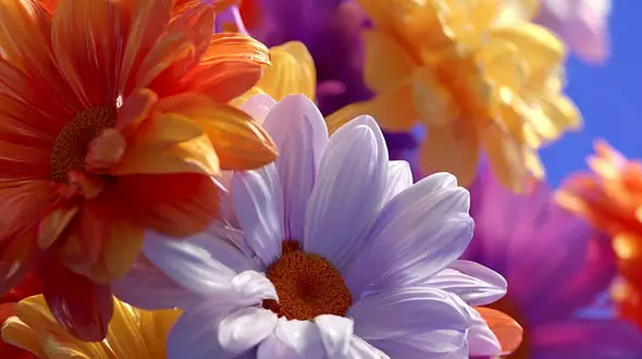 فال ابجد محشر 17 تیر 