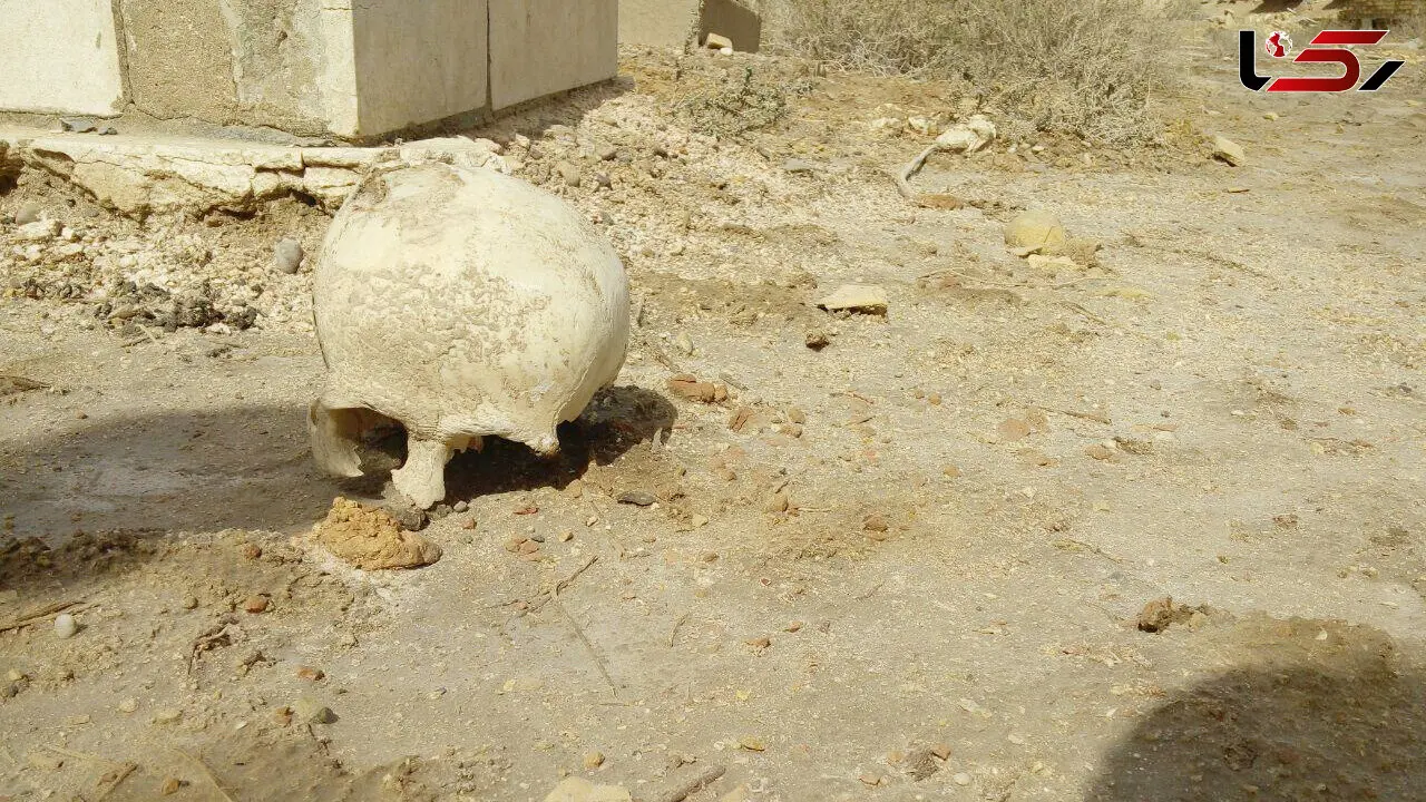 سرنوشت جمجه رها شده در قبرستان ارامنه آبادان+عکس