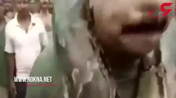 لحظه وحشتناک پیچیدن مار پیتون به دور گردن یک مرد! + فیلم 