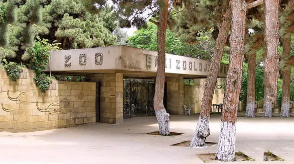 تماشای حیات وحش زیبا در باغ وحش باکو +تصاویر 