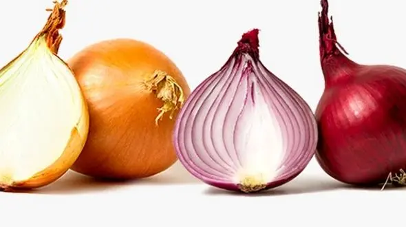خواص دارویی پیاز