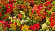 فال ابجد امروز | 18 شهریور ۱۴۰۵ 