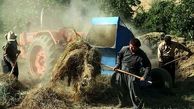 مرگ دلخراش کشاورز مرودشتی حین کار با خرمن‌کوب 