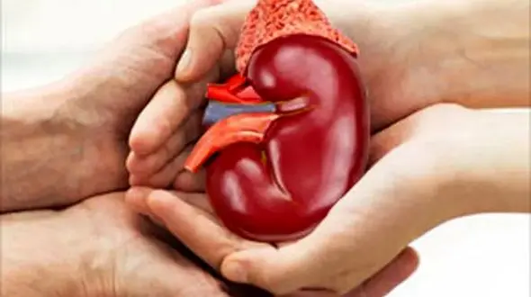 سقوط مرگبار مرد دماوندی از درخت گردو / اعضای بدنش اهدا شد