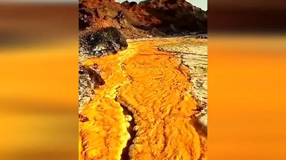 جولان 2 ادویه پرمصرف در یک دشت + فیلم