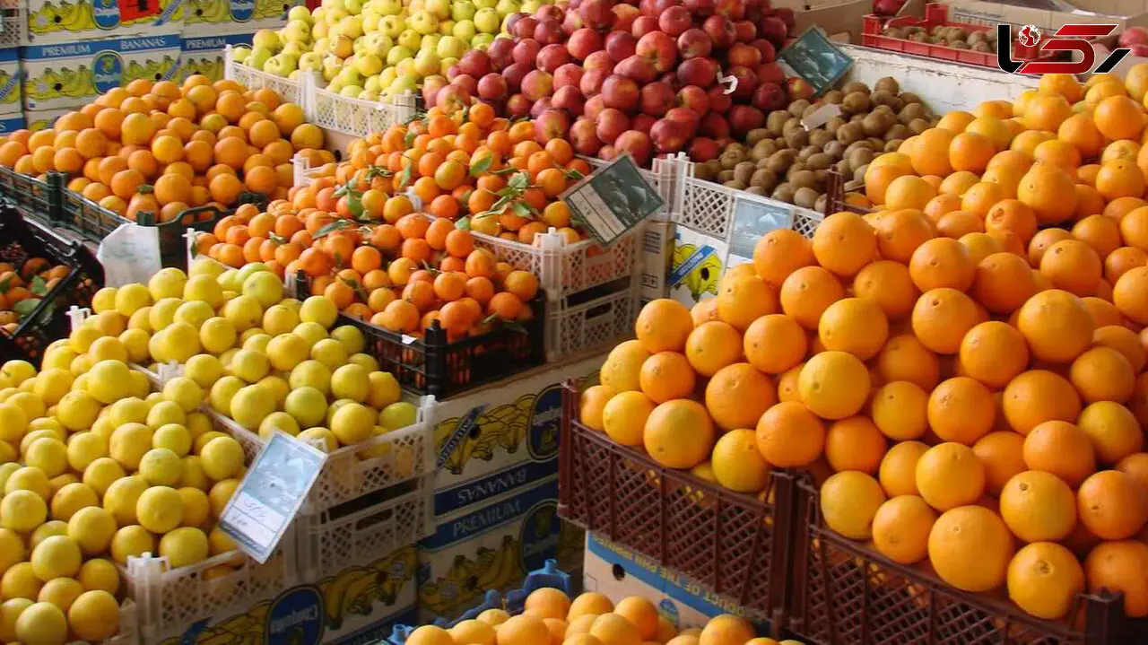 تخفیف ویژه میوه به مناسبت دهه فجر!
