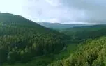 ریلکس کنید / نماهنگ بی کلام آرامش بخش + فیلم