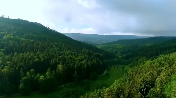 ریلکس کنید / نماهنگ بی کلام آرامش بخش + فیلم