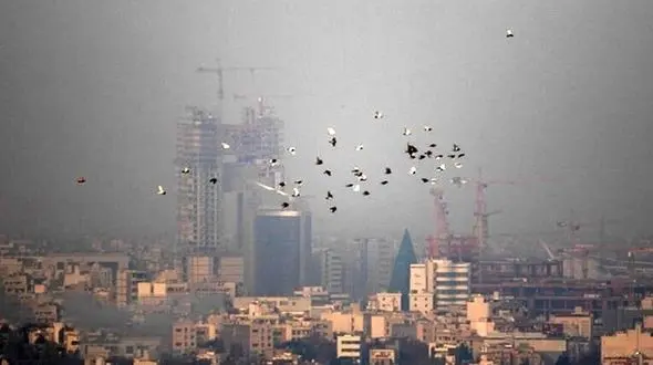 علت  آلودگی هوا مشخص شد / مدارس شنبه هم تعطیل می شود؟