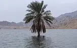 هشدار سیلاب در جنوب کشور؛ بارش‌های شدید تا شنبه ادامه دارد