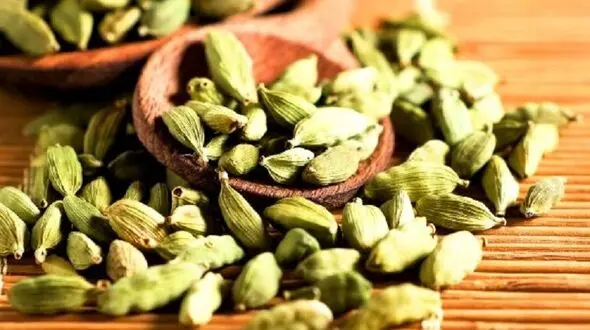مبارزه با سنگ کلیه با این دانه خوشبو