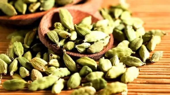 مبارزه با سنگ کلیه با این دانه خوشبو