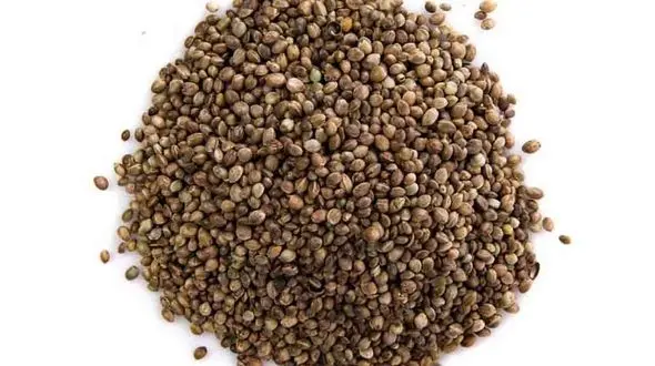 طرز تهیه دمنوش تخم گشنیز + فیلم