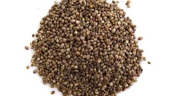 طرز تهیه دمنوش تخم گشنیز + فیلم