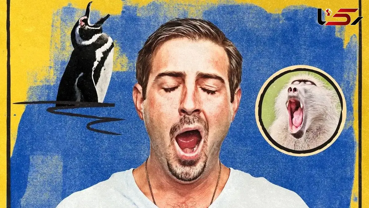 خمیازه؛ کولر طبیعی مغز شما!