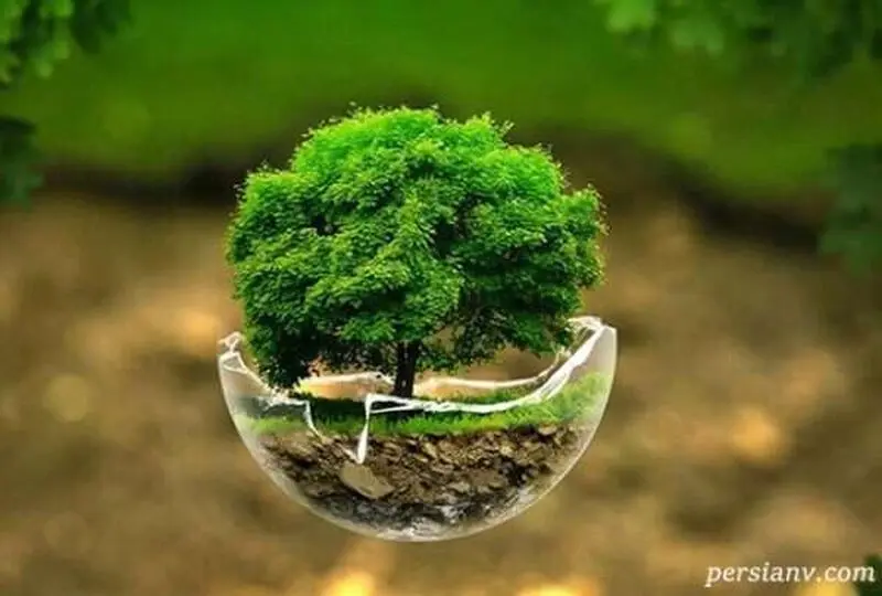 الناز شاکردوست در روز زمین