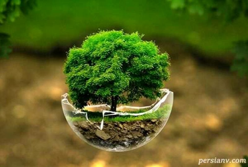 الناز شاکردوست در روز زمین
