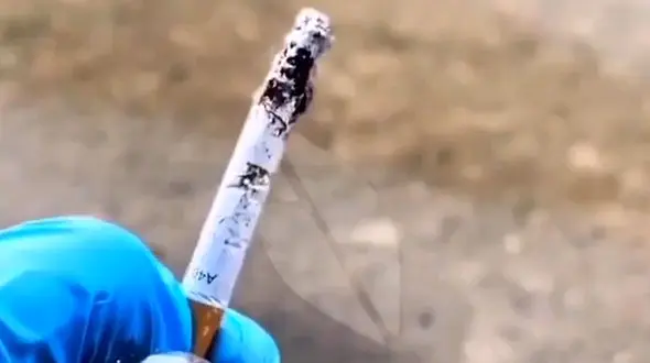 وقتی یک فیلتر سیگار را دور می اندازید چه اتفاقی می افتد؟ + فیلم