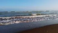 فیلم از ساحل زیبای رودسر