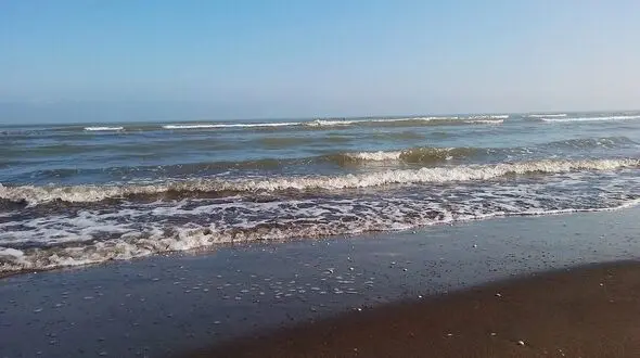 فیلم از ساحل زیبای رودسر