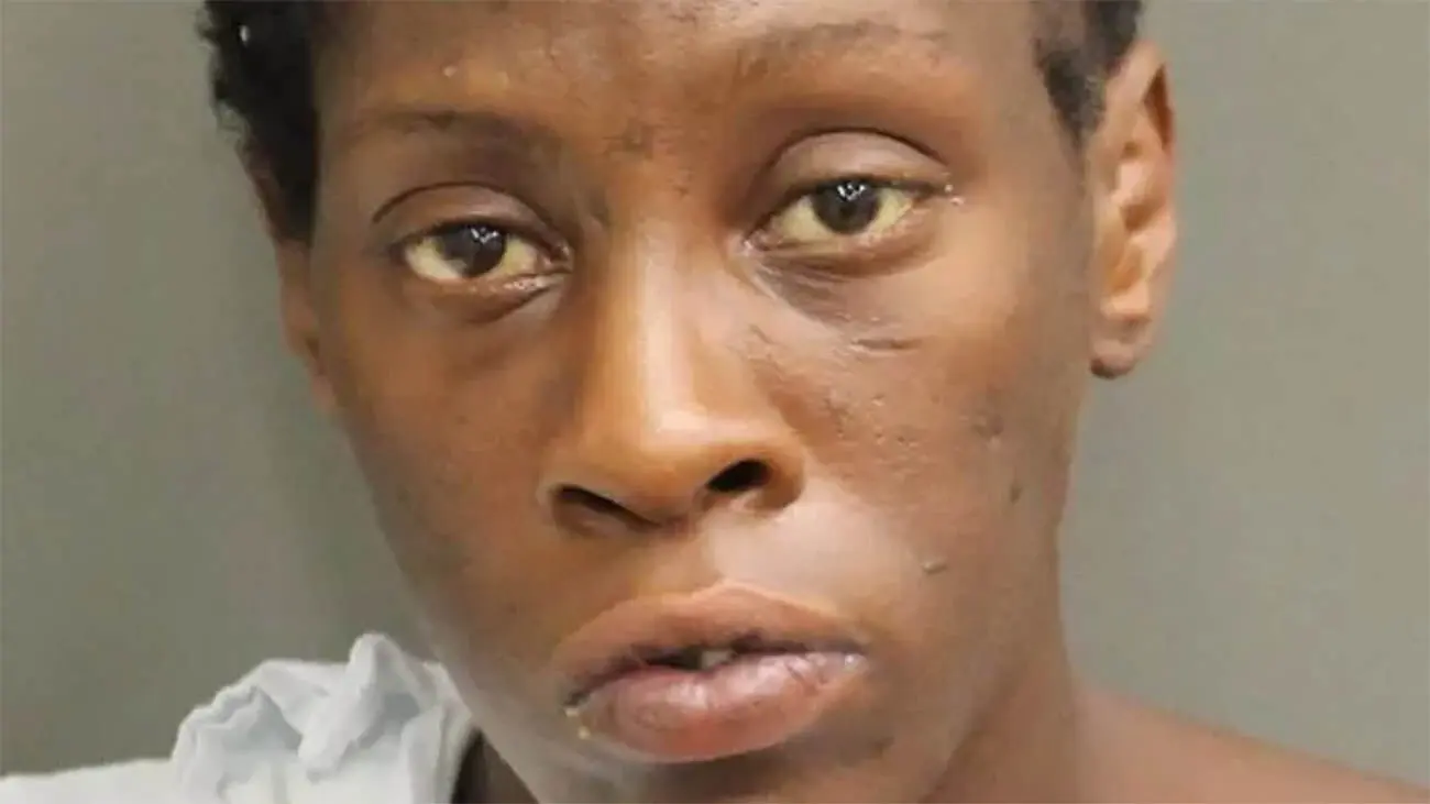 Florida Woman Accused of Repeatedly Pushing Baby in Stroller Into Traffic