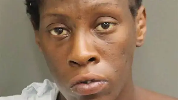 Florida Woman Accused of Repeatedly Pushing Baby in Stroller Into Traffic