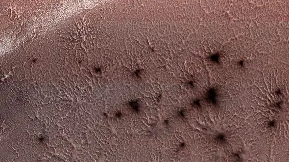 تصویری عجیب از عنکبوت ها در سیاره سرخ