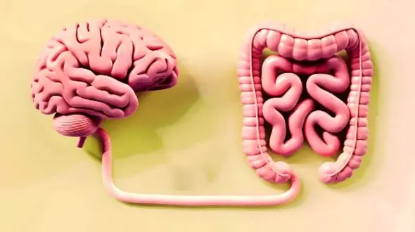 کشف شگفت‌ انگیز حس ششم در روده انسان!