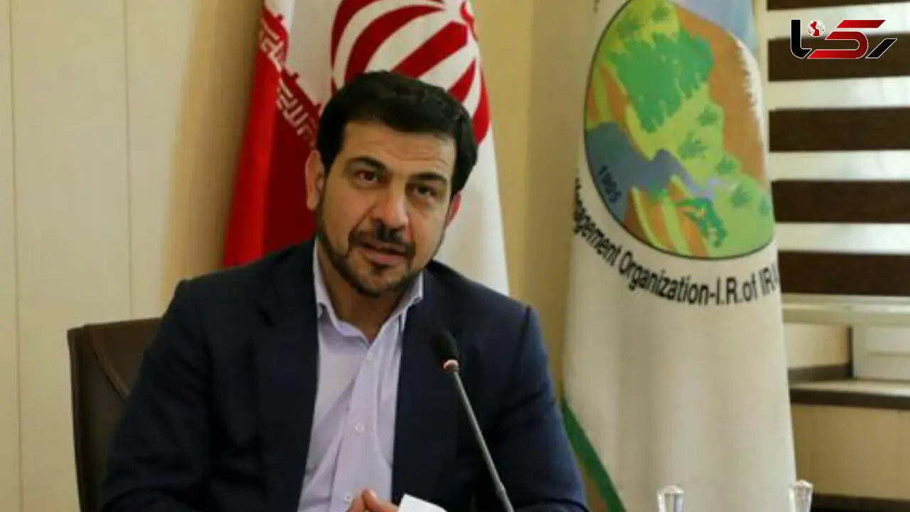 12میلیون هکتار از عرصه های مراتع و جنگل ها در آستان تخریب