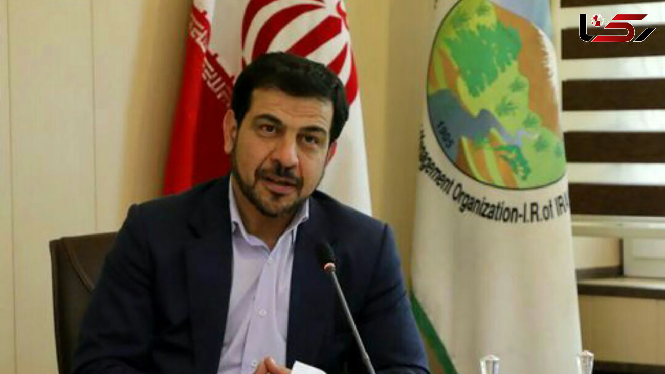 بهره برداری از ۲۱۰ پروژه منابع طبیعی و آبخیزداری یازمان جنگل ها در دهه فجر