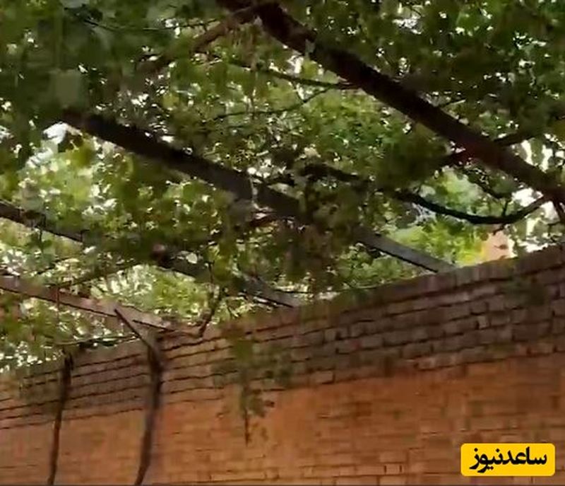 خونه پدری دکتر پزشکیان