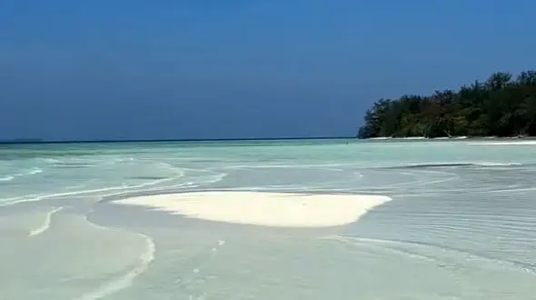 نجیب تر از آن باشید که برنجانید