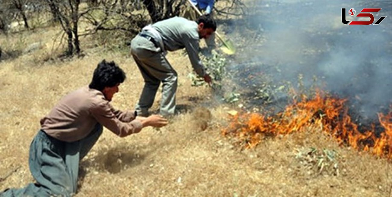 مهار آتش در روستای نادرآباد زنجان